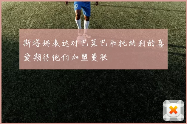 斯塔姆表达对巴莱巴和托纳利的喜爱期待他们加盟曼联